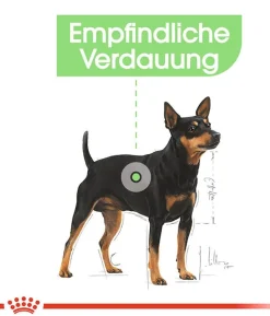 ROYAL CANIN® Trockenfutter für Hunde Digestive Care Mini