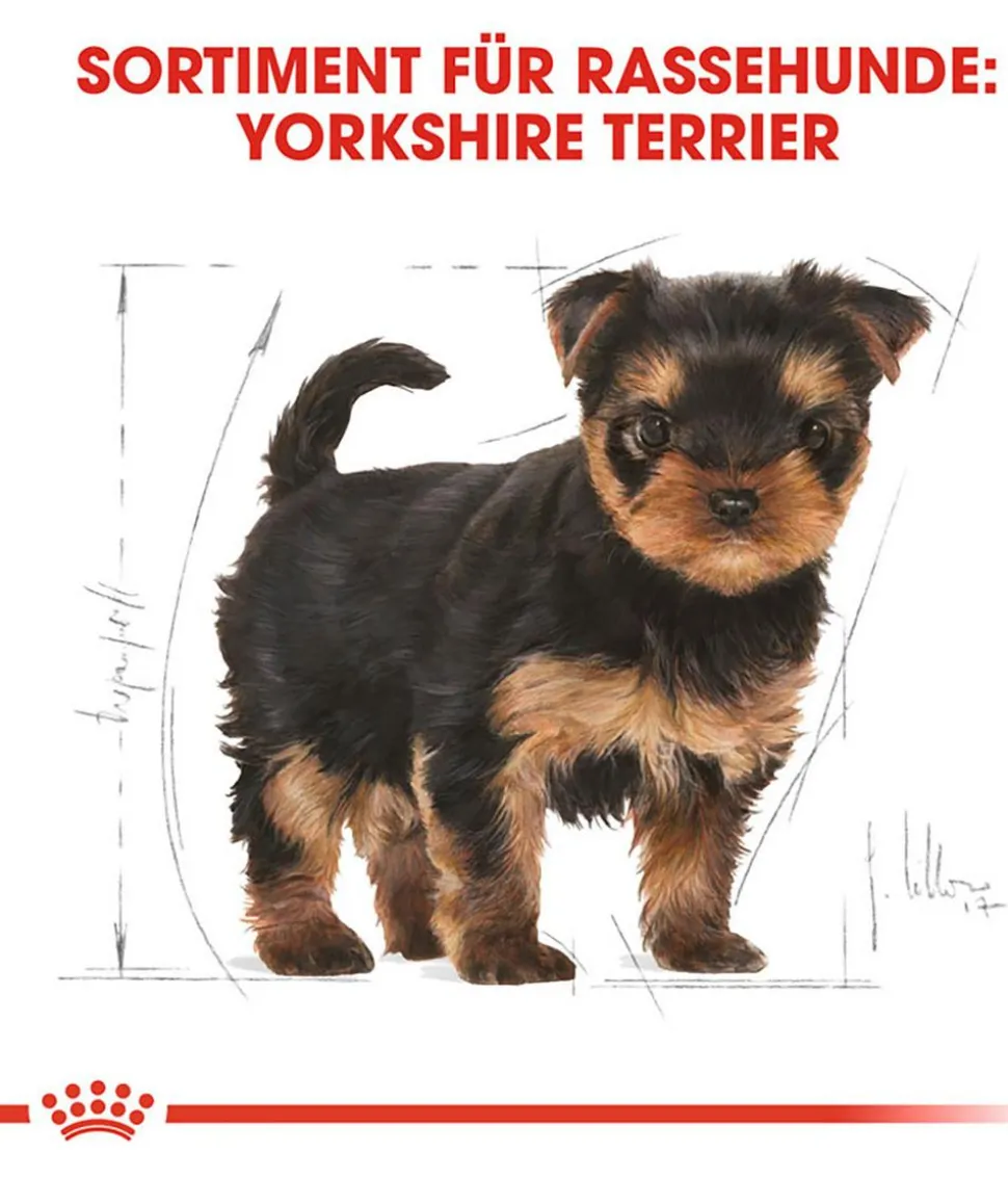 ROYAL CANIN® Trockenfutter für Hunde Yorkshire Terrier Puppy