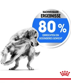 ROYAL CANIN® Trockenfutter für Hunde Light Weight Care Medium, 3 kg