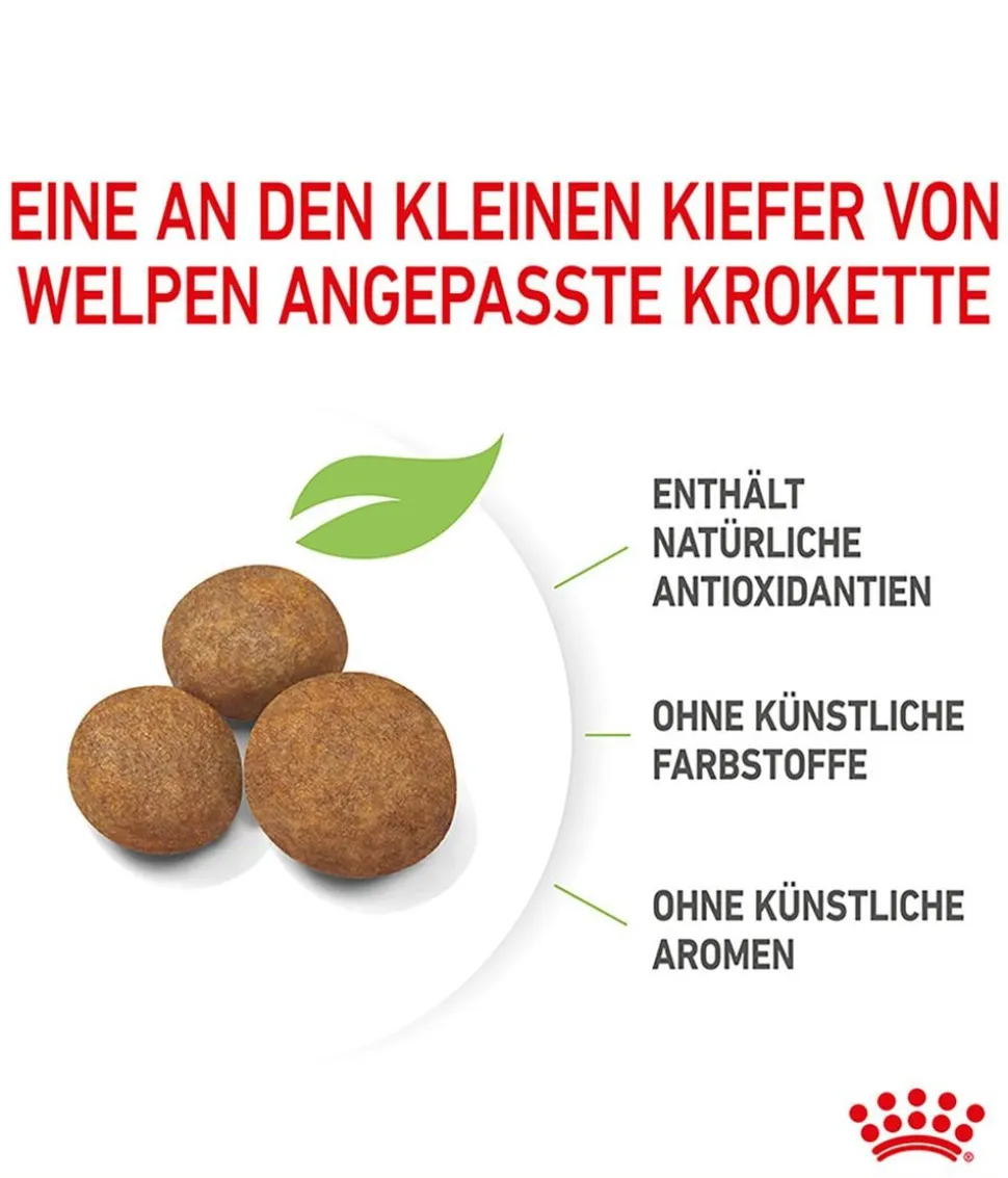 ROYAL CANIN® Trockenfutter für Hunde Maxi Puppy