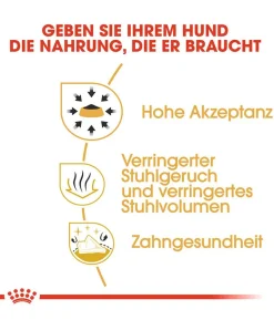 ROYAL CANIN® Trockenfutter für Hunde Chihuahua Adult
