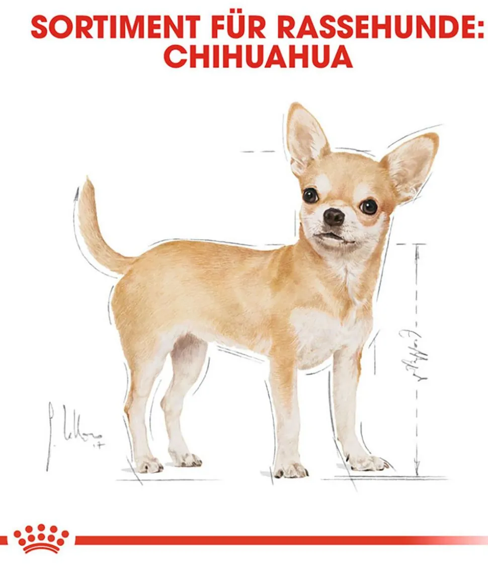 ROYAL CANIN® Trockenfutter für Hunde Chihuahua Adult