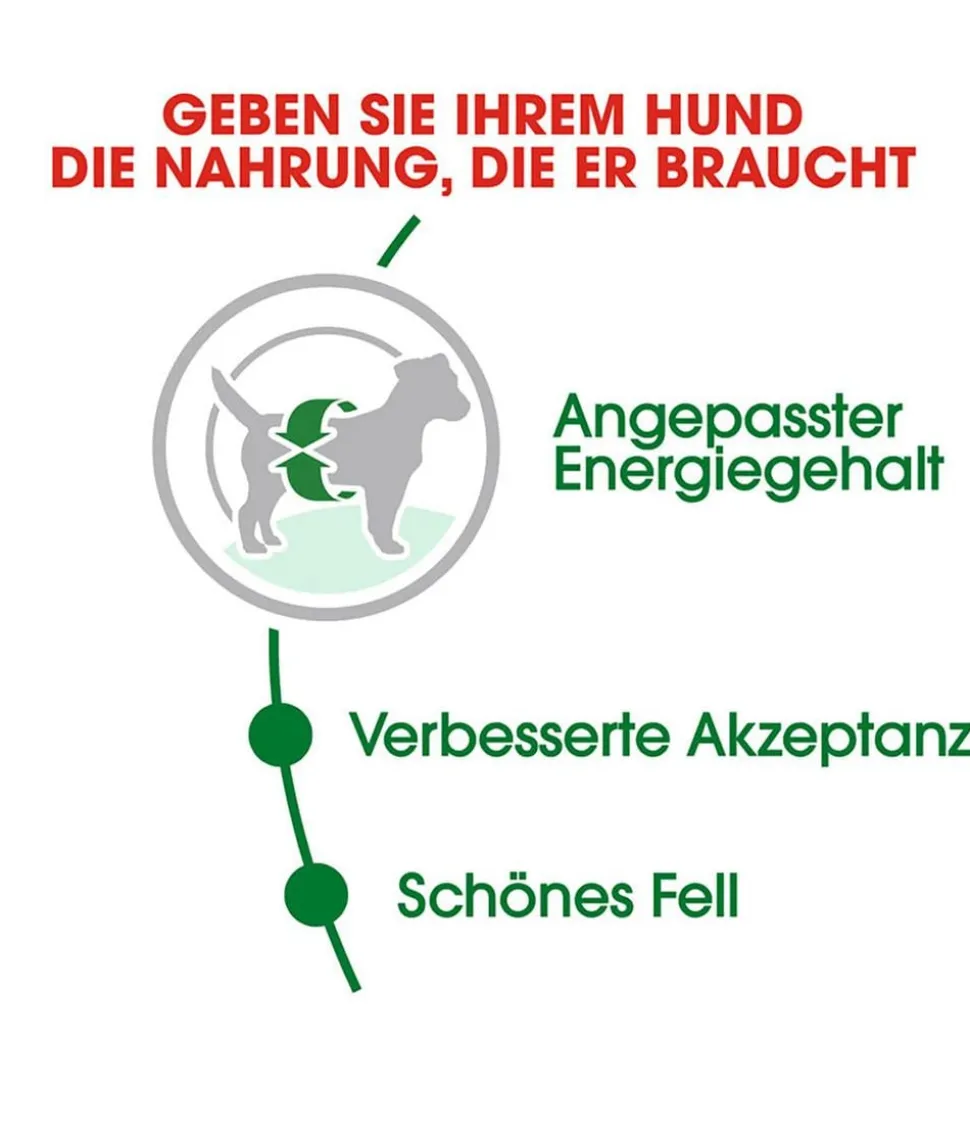 ROYAL CANIN® Trockenfutter für Hunde Mini Adult