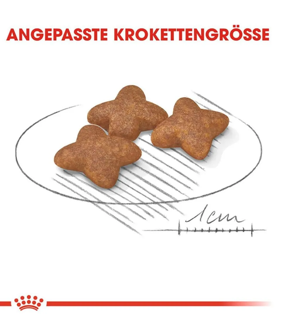 ROYAL CANIN® Trockenfutter für Hunde Mini Adult
