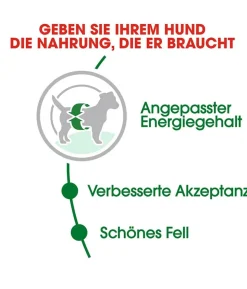 ROYAL CANIN® Trockenfutter für Hunde Mini Adult
