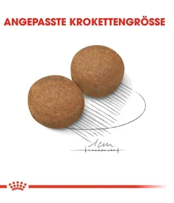 ROYAL CANIN® Trockenfutter für Hunde Maxi Adult
