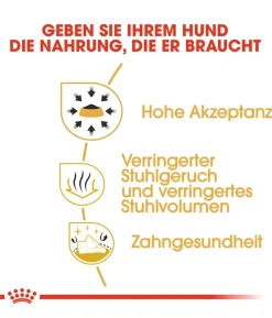 ROYAL CANIN® Trockenfutter für Hunde Chihuahua Adult