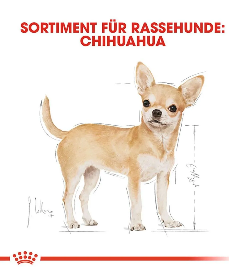 ROYAL CANIN® Trockenfutter für Hunde Chihuahua Adult