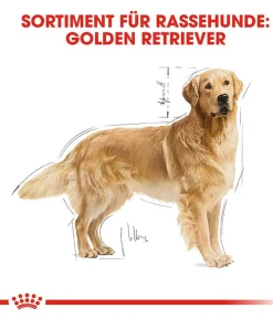ROYAL CANIN® Trockenfutter für Hunde Golden Retriever Adult
