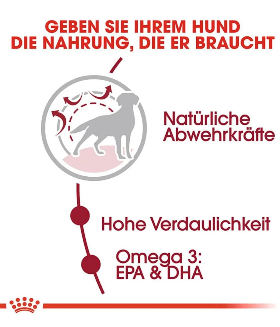 ROYAL CANIN® Trockenfutter für Hunde Medium Adult