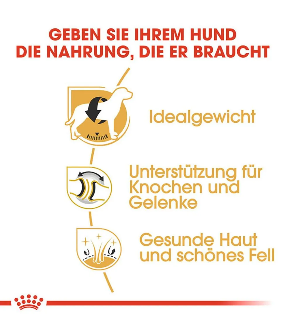 ROYAL CANIN® Trockenfutter für Hunde Labrador Retriever Adult