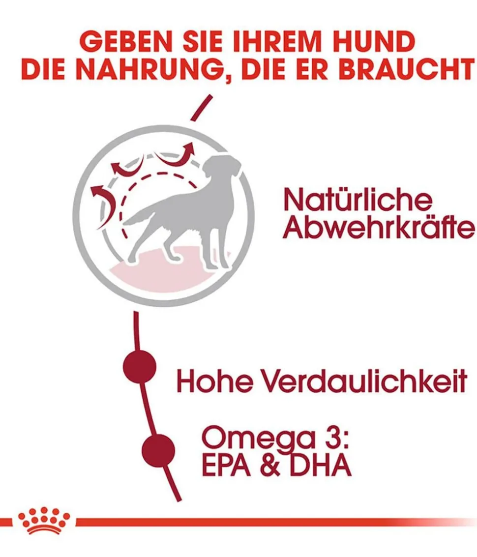 ROYAL CANIN® Trockenfutter für Hunde Medium Adult