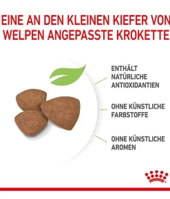 ROYAL CANIN® Trockenfutter für Hunde Mini Puppy