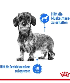 ROYAL CANIN® Trockenfutter für Hunde Light Weight Care Mini