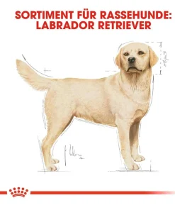 ROYAL CANIN® Trockenfutter für Hunde Labrador Retriever Adult
