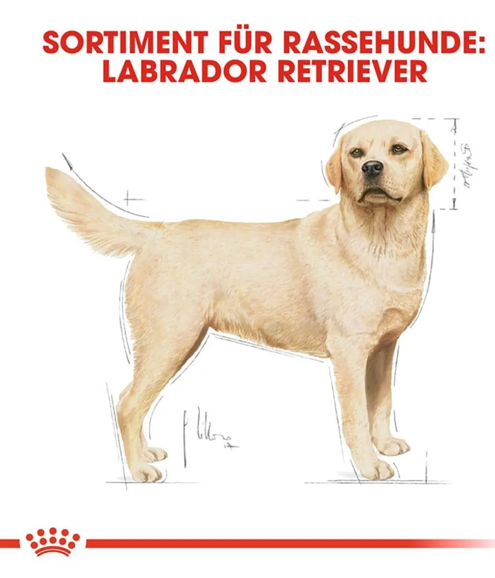 ROYAL CANIN® Trockenfutter für Hunde Labrador Retriever Adult