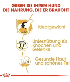 ROYAL CANIN® Trockenfutter für Hunde Labrador Retriever Adult