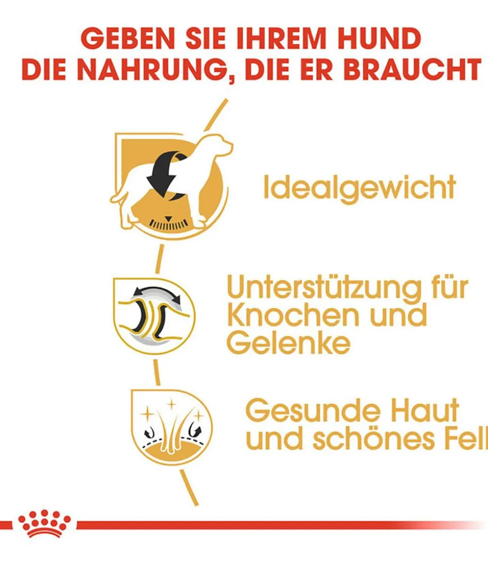 ROYAL CANIN® Trockenfutter für Hunde Labrador Retriever Adult