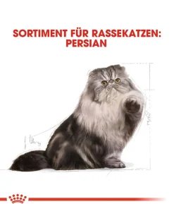 ROYAL CANIN® Trockenfutter für Katzen Persian Adult