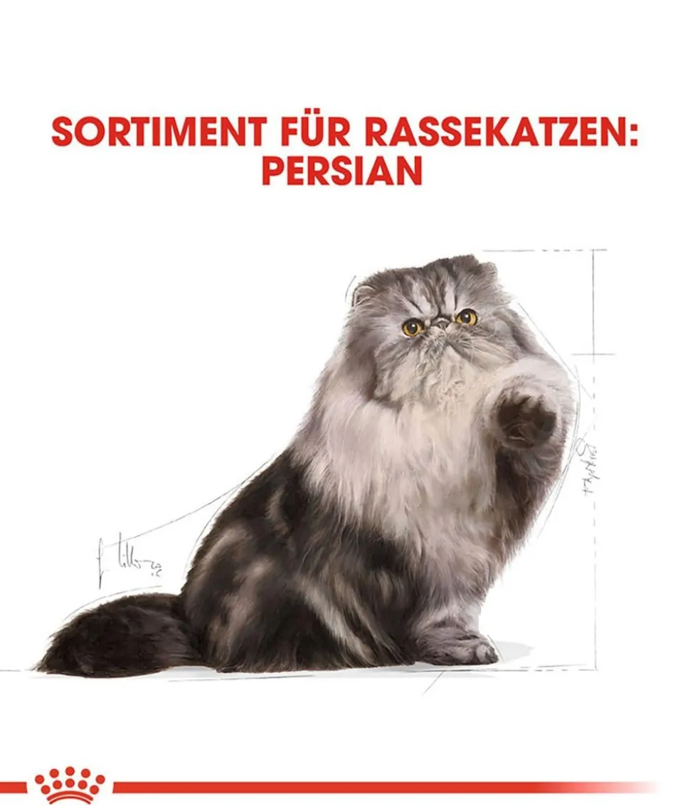 ROYAL CANIN® Trockenfutter für Katzen Persian Adult