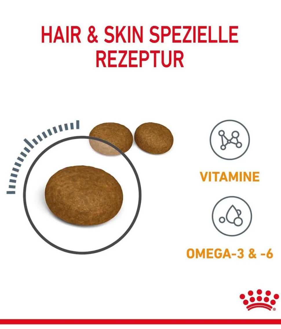 ROYAL CANIN® Trockenfutter für Katzen Hair & Skin Care