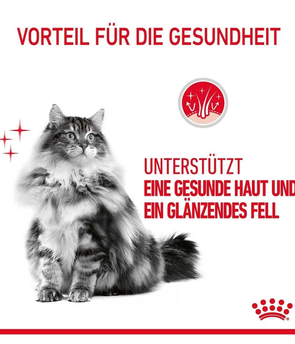 ROYAL CANIN® Trockenfutter für Katzen Hair & Skin Care