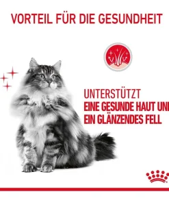 ROYAL CANIN® Trockenfutter für Katzen Hair & Skin Care