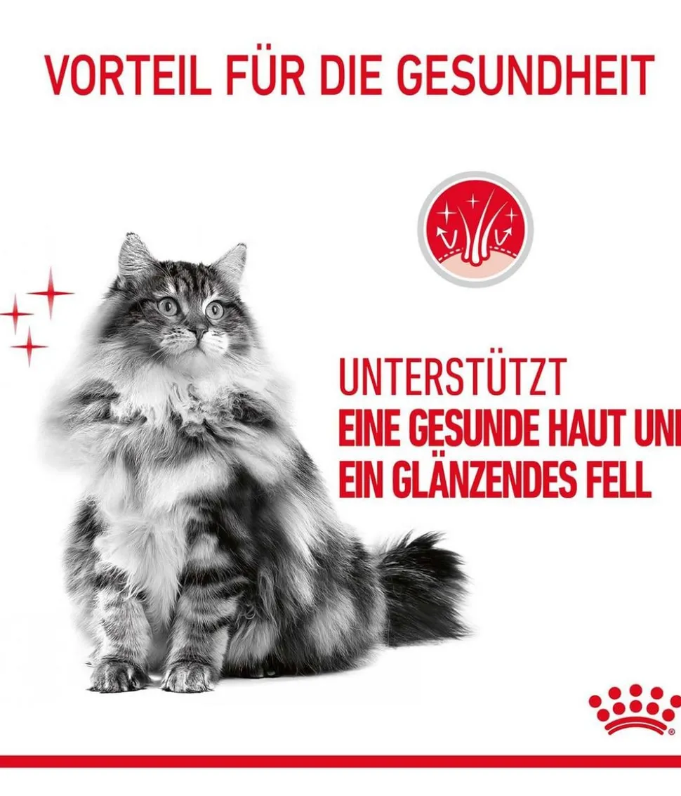 ROYAL CANIN® Trockenfutter für Katzen Hair & Skin Care