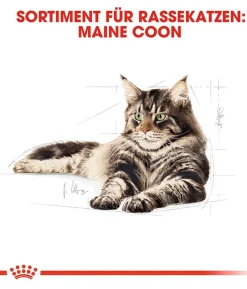 ROYAL CANIN® Trockenfutter für Katzen Maine Coon Adult