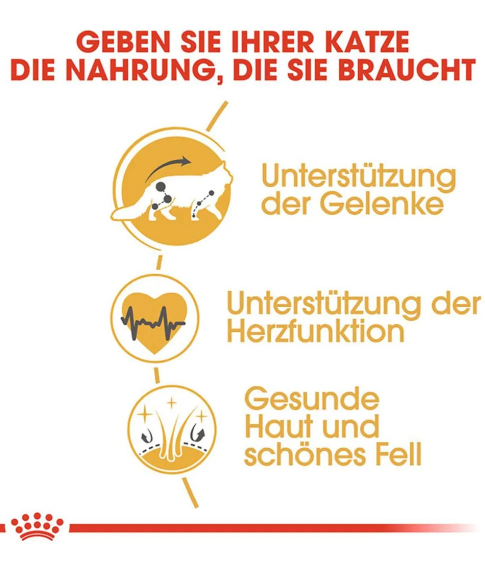 ROYAL CANIN® Trockenfutter für Katzen Maine Coon Adult