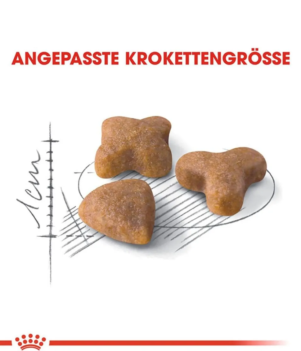 ROYAL CANIN® Trockenfutter für Katzen Sensible