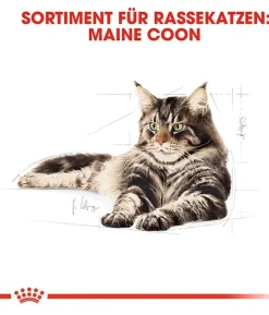 ROYAL CANIN® Trockenfutter für Katzen Kitten
