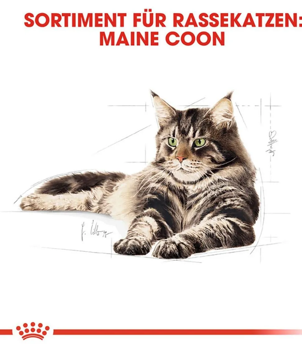 ROYAL CANIN® Trockenfutter für Katzen Kitten