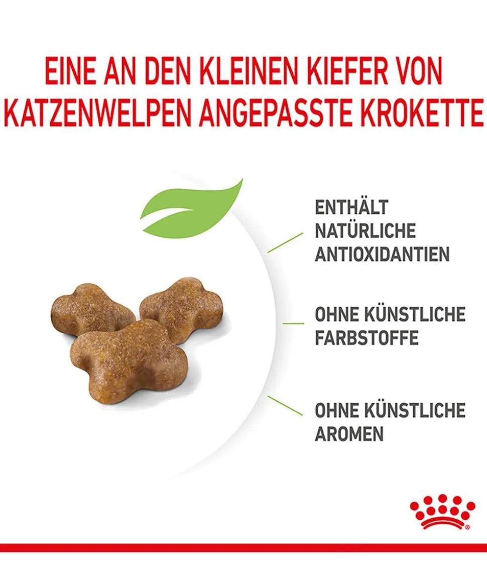 ROYAL CANIN® Trockenfutter für Katzen Kitten