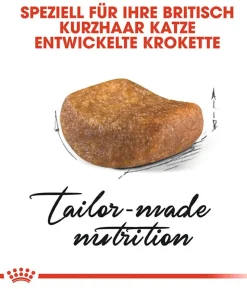 ROYAL CANIN® Trockenfutter für Katzen Maine Coon Adult