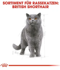 ROYAL CANIN® Trockenfutter für Katzen Maine Coon Adult