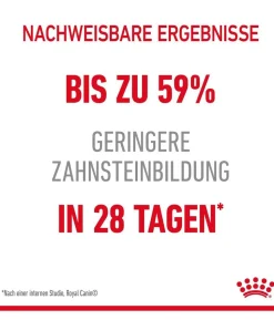 ROYAL CANIN® Trockenfutter für Katzen Dental Care