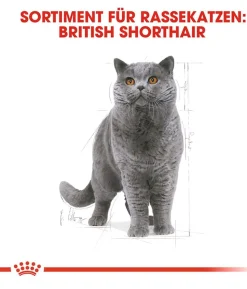 ROYAL CANIN® Trockenfutter für Katzen Sterilised