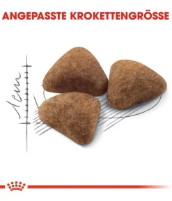 ROYAL CANIN® Trockenfutter für Katzen Indoor