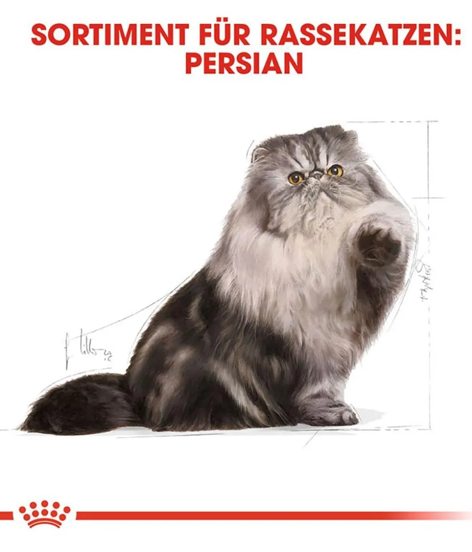 ROYAL CANIN® Trockenfutter für Katzen Persian Adult