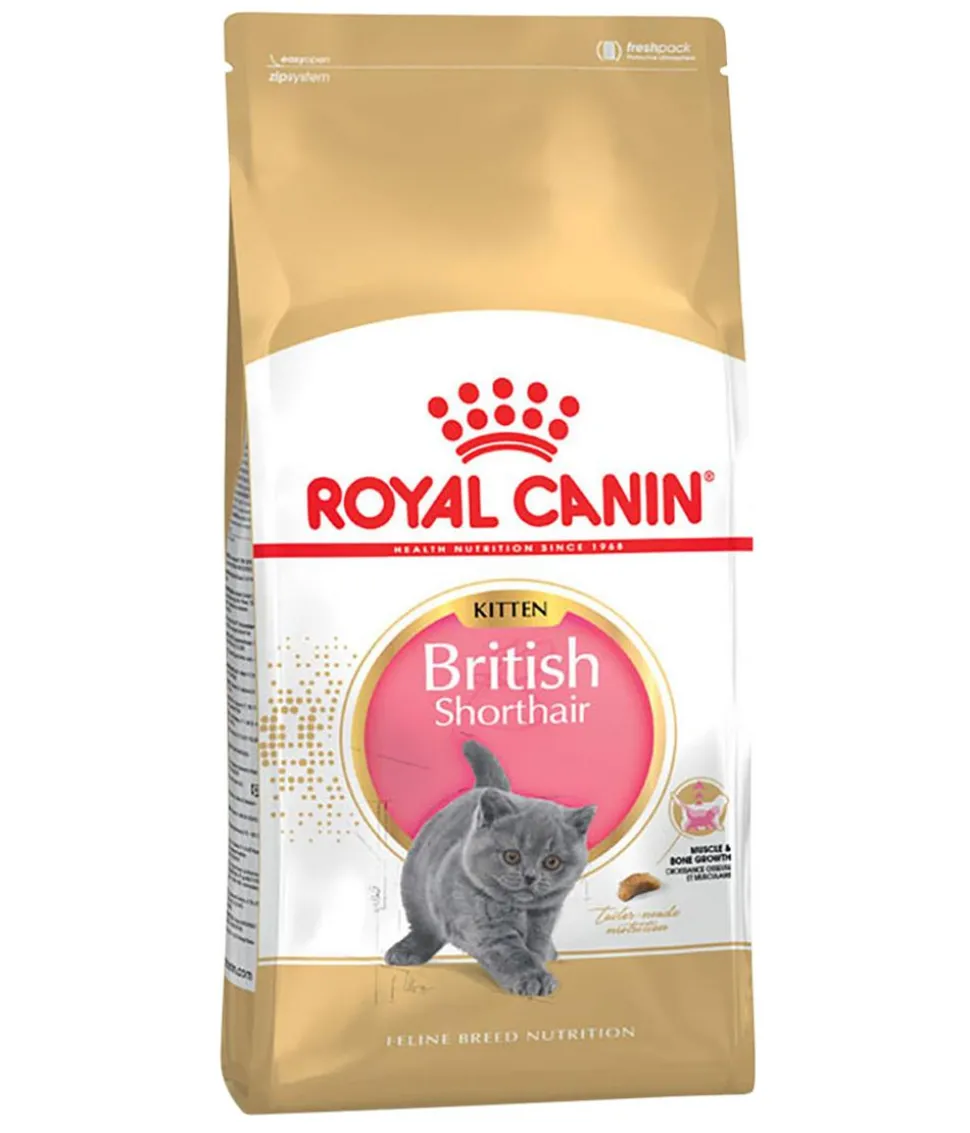 ROYAL CANIN® Trockenfutter für Katzen British Shorthair Kitten
