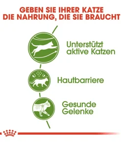 ROYAL CANIN® Trockenfutter für Katzen Outdoor