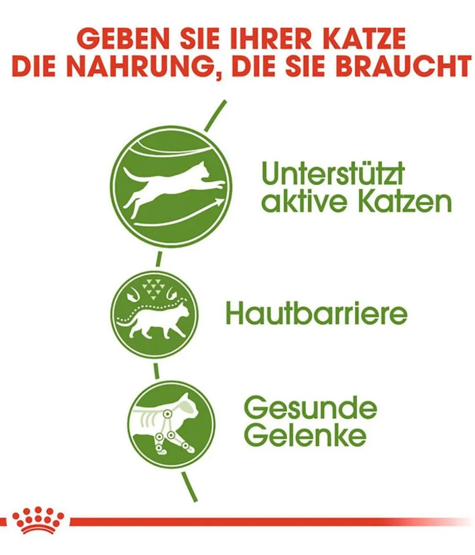 ROYAL CANIN® Trockenfutter für Katzen Outdoor