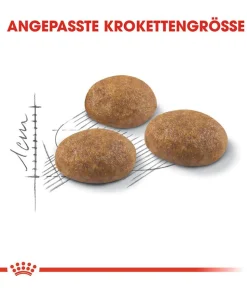 ROYAL CANIN® Trockenfutter für Katzen Outdoor