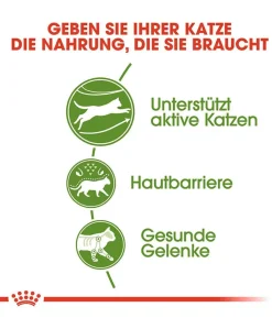 ROYAL CANIN® Trockenfutter für Katzen Outdoor