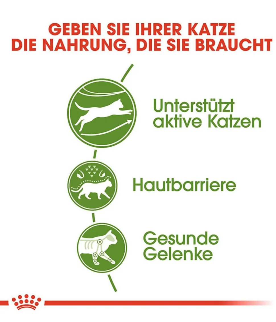 ROYAL CANIN® Trockenfutter für Katzen Outdoor