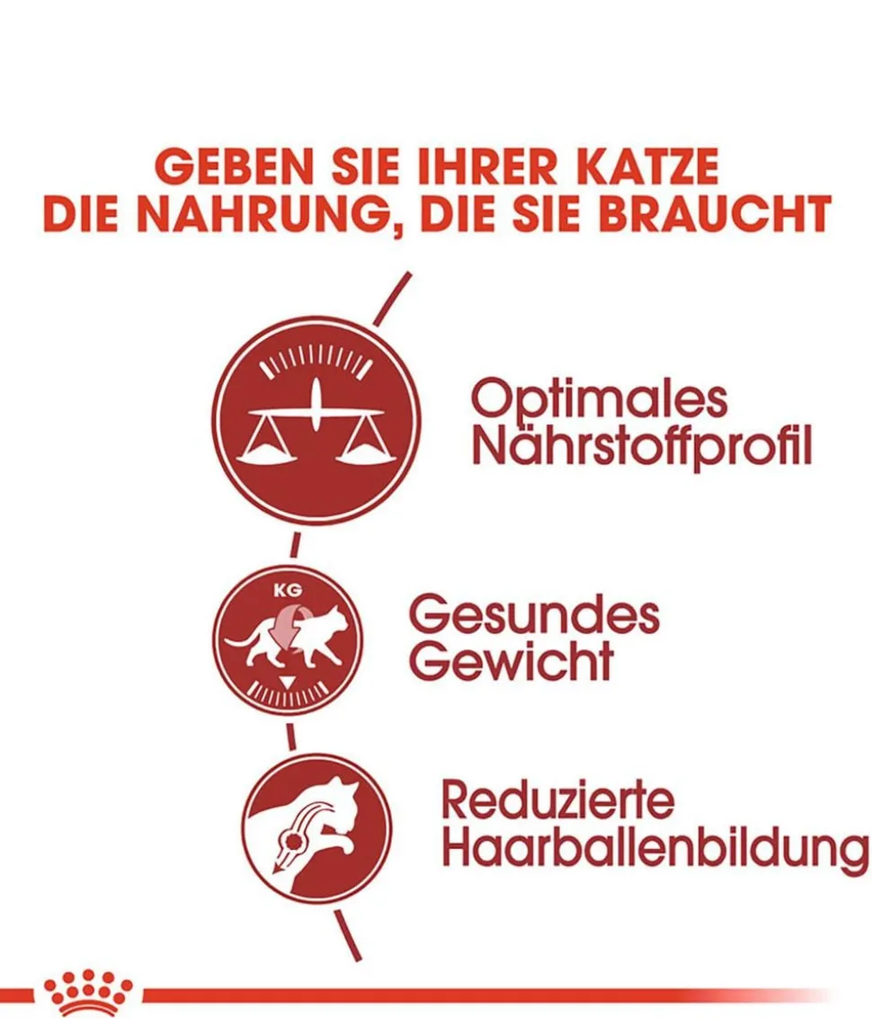 ROYAL CANIN® Trockenfutter für Katzen Fit
