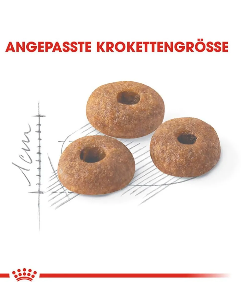 ROYAL CANIN® Trockenfutter für Katzen Fit