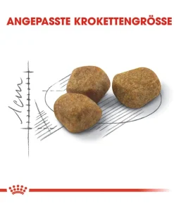 ROYAL CANIN® Trockenfutter für Katzen Indoor 7+