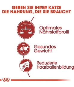 ROYAL CANIN® Trockenfutter für Katzen Fit